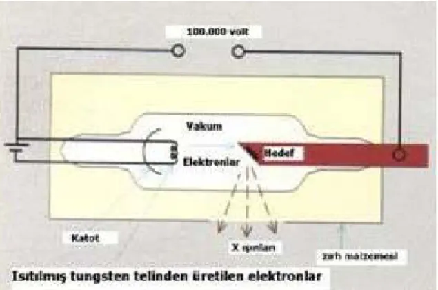 Şekil 2.6 X Işını Tüpü 