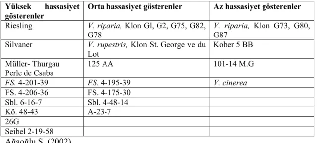 Çizelge 2.2. GA’e karşı bazı asma tür ve çeşitlerinin reaksiyonel özellikleri  Yüksek hassasiyet 