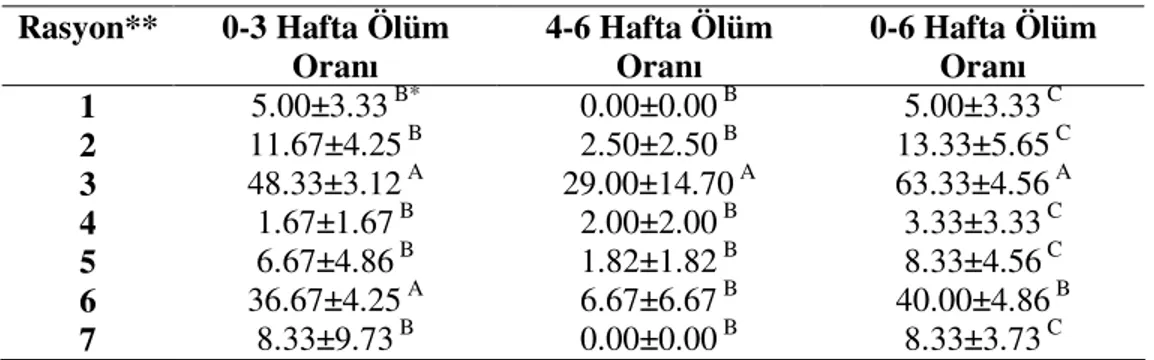 Çizelge 4.5. Deneme Gruplarının Haftalar İtibariyle Toplam Ortalama Ölüm Oranları,  % Rasyon**  0-3 Hafta Ölüm  Oranı  4-6 Hafta Ölüm Oranı  0-6 Hafta Ölüm Oranı  1  2  3  4  5  6  7  5.00±3.33  B*11.67±4.25  B48.33±3.12  A1.67±1.67 B6.67±4.86 B36.67±4.25 