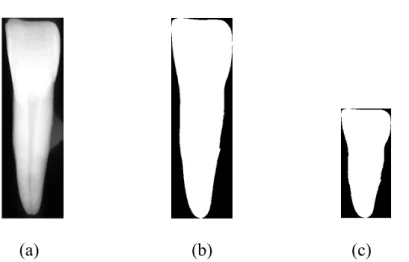 Şekil 3.3 Standart dönüşüm Orijinal boyut [517 159] (a), Ön işlem sonucu (b), [200  100] indirgenmiş boyut (c) 