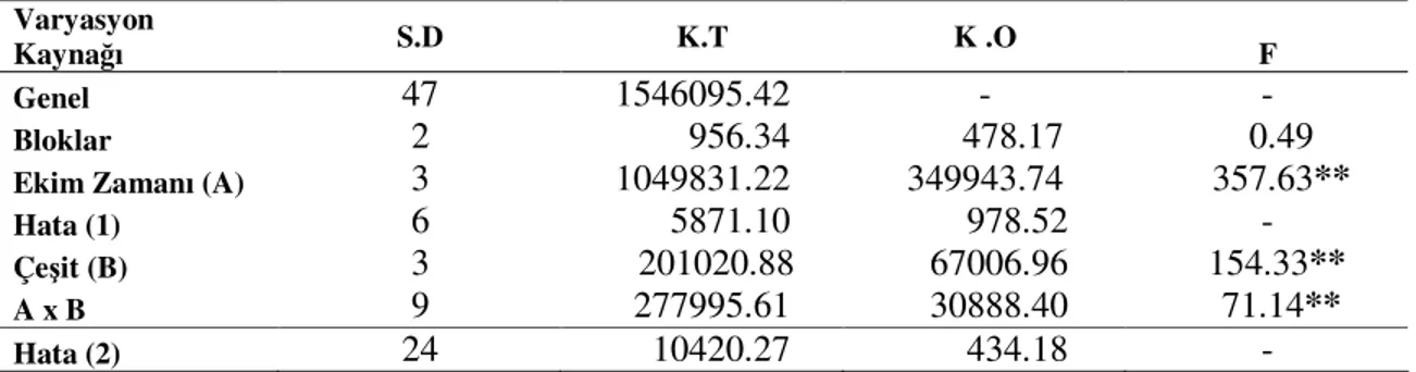 Çizelge  4.1.  Farklı  Ekim  Zamanlarında  Kışlık  Kanola  Çeşitlerinde  Tespit  Edilen  Tohum  Verimi Değerleri (kg/da) ve Duncan Testi Grupları 