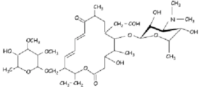 Şekil 1.1. Tilozinin kimyasal yapısı (Kanfer ve ark 1998, Garcia-Mayor ve ark 2006). 