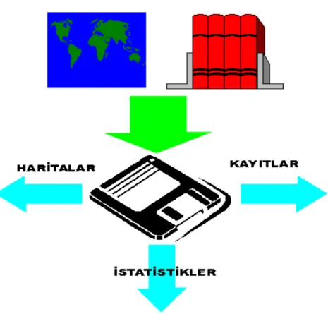 Şekil 2.2. Kadastroda organizasyon  