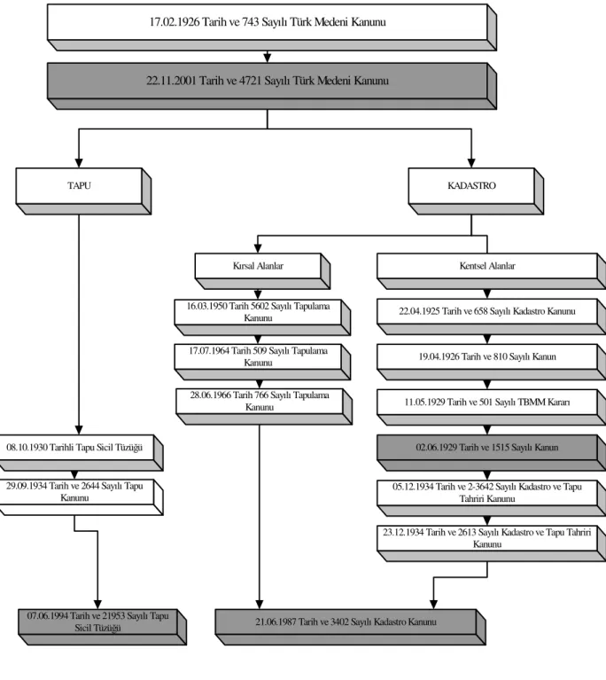 Şekil 3.1. Cumhuriyet döneminde kadastroya ilişkin çıkarılan kanunlar (TKGM) 