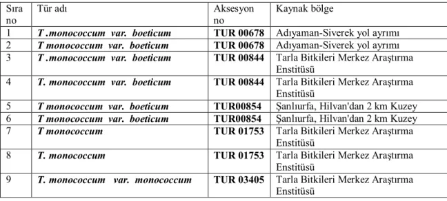 Çizelge 3.1. Çalışmada kullanılan Triticum , Aegilops cinsleri ve kültür buğdaylarına ait aksesyon numaraları ve kaynak bölge