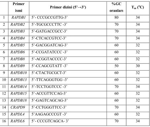 Çizelge 3.3.  RAPD analizlerinde kullanılan primerler, baz dizilişleri, GC (%) oranları ve T m  ısıları (°C)