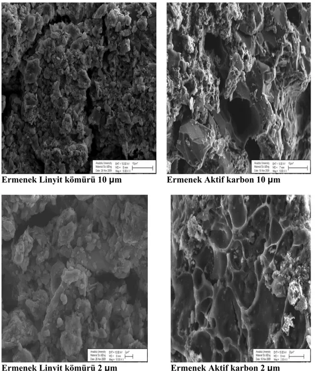 Şekil 4.10.1. Ermenek linyit kömürü ve aktif karbonuna ait farklı boyutlarda çekilen  Sem Görüntüleri 