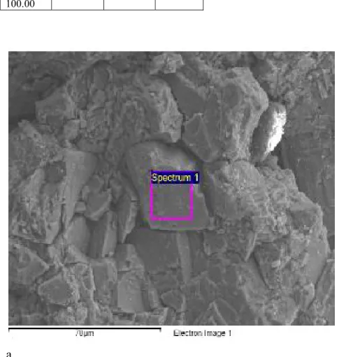 Tablo 5.5.C. B1 no’lu numunenin SEM-EDX çekimine göre bileşimi (Spectrum 1) 