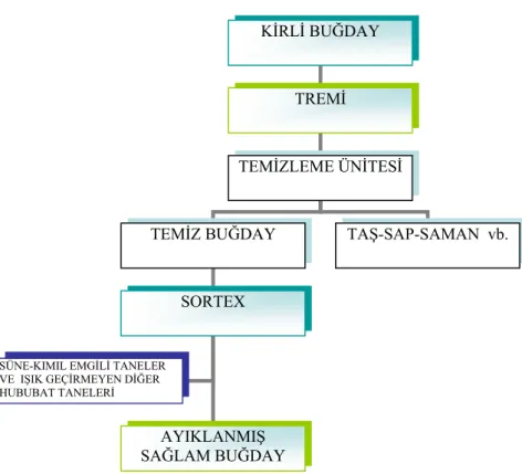 Şekil 3.2. Ayıklama Prosesi  