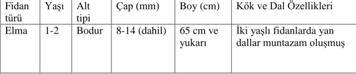 Çizelge  3.3.  Bodur  ve  Yarı  bodur  alt  tipine  giren  elma  fidanlarının  özellikleri  (Anonim 1996)