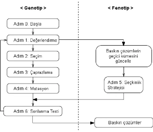 Şekil 4.6: MOGA AkıĢ Diyagramı 