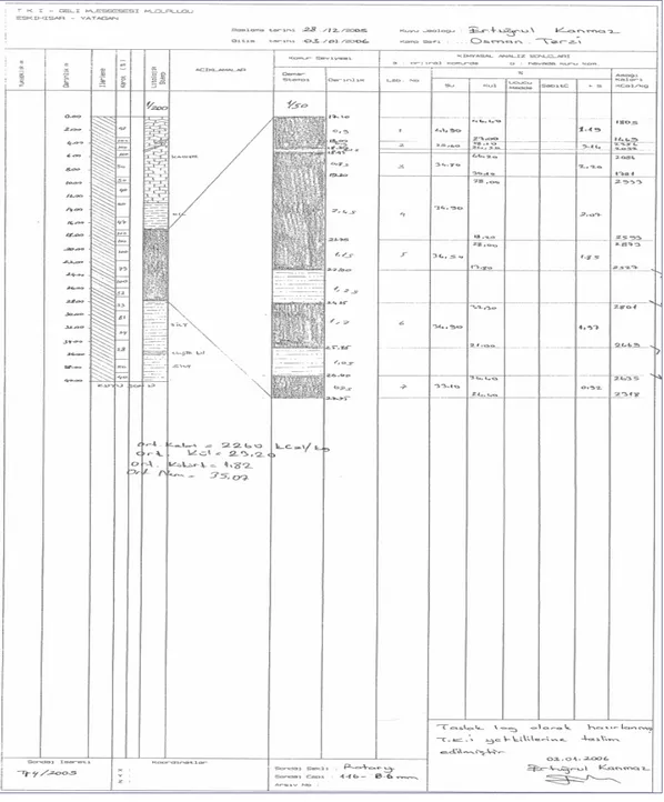 Şekil 4.6 Tı-4/2005 isimli sondaj logu 