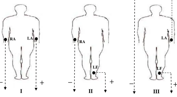 Şekil 4.3. Bipolar taraf derivasyonları. RA=sağ kol, LA=sol kol, LF=sol bacak 