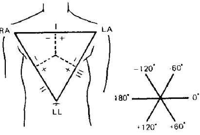 Şekil 4.7. (a) Üç bipolar taraf derivasyonu ekseni tarafından oluşturulan Einthoven üçgeni, (b)   Aralarında   lik açılar  bulunan üç eksenli referans sisteminin gösterimi 
