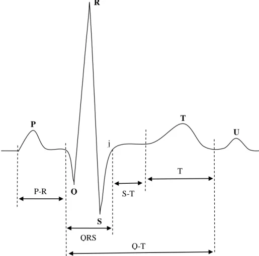 Şekil 4.9. Normal elektrokardiyogram bileşiği  1 mm  10 mm 10 mm=1 mV 0.04 sn 0.20 sn R P T U Q S P-R QRS S-T T Q-T j 