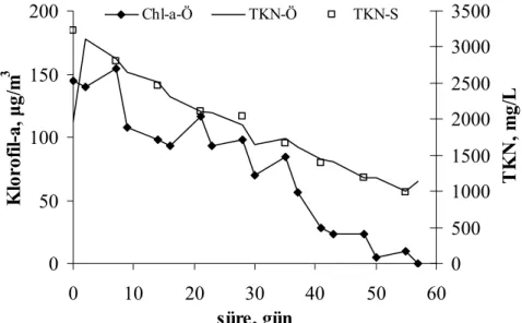 Şekil 4.61. Kesikli olarak [Zn(CN) 4 ] 2-  beslenen reaktörlerde klorofil-a ve TKN‘ün   değişimi