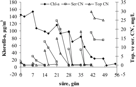 Şekil 4.64. Kesikli olarak [Zn(CN) 4 ] 2-  beslenen reaktörlerde toplam CN -  ve serbest  CN - ‘ün değişimi