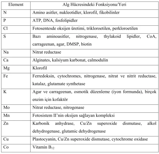 Çizelge 2.3. Alg Biyokütlesi tarafından Kullanılan Elementler ve Fonksiyonları  (Graham ve Wilcox, 2000) 