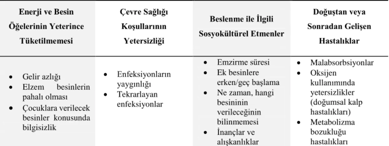 Çizelge 1.1. Malnutrisyon nedenleri. 