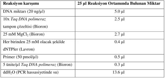 Çizelge 3.2. PCR karışımı bileşenleri ve miktarları 