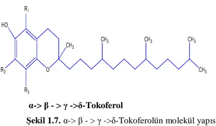 Şekil 1.7. α-&gt; β - &gt; γ -&gt;δ-Tokoferolün molekül yapısı