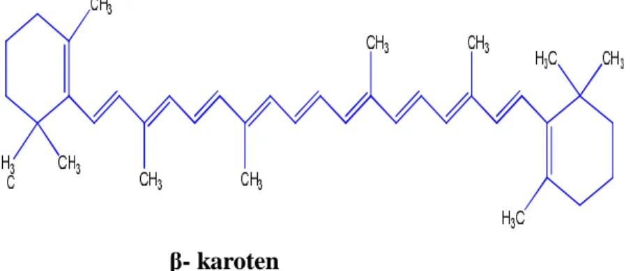 Şekil 1.13. β-karotenin molekül yapısı