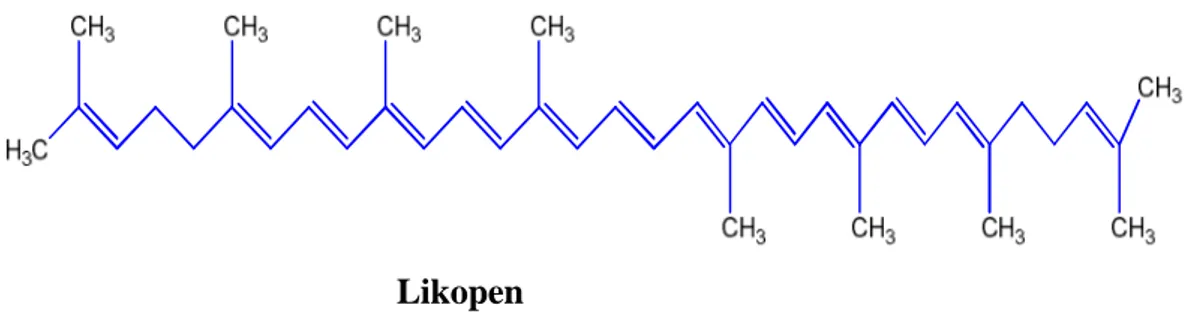Şekil 1.14. Likopenin molekül yapısı