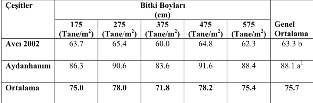 Çizelge 4.2. Farklı ekim sıklıklarında yetiştirilen Avcı 2002 ve Aydanhanım arpa            çeşitlerinde belirlenen ortalama bitki boyları  