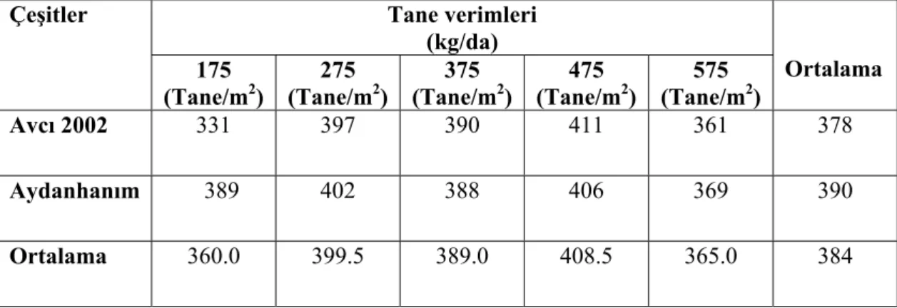 Çizelge 4.6. Farklı ekim sıklıklarında yetiştirilen Avcı 2002 ve Aydanhanım arpa            çeşitlerinde belirlenen ortalama tane verimleri 