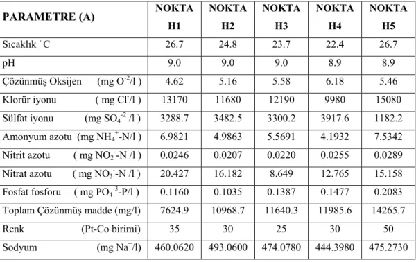 Çizelge 4.3. Araştırma konusu Akgöl’e ait su örneklerinde Haziran 2005 için fiziksel  ve inorganik-kimyasal parametrelerin analiz sonuçları 
