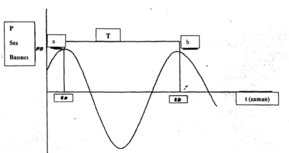 Şekil  2.1’de  basit  harmonik  bir  ses  dalgasının  bir  noktada  oluşturduğu  ses  basıncının zamanla değişimi gösterilmektedir
