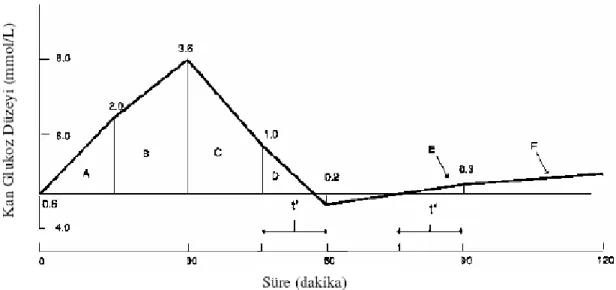 Şekil 3.1 GI Hesaplamasında Kullanılan Tipik Bir Kan Glukoz Düzeyi Eğrisi 