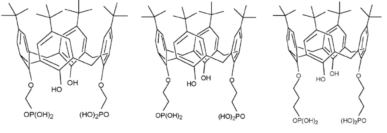Şekil 1.22. p-tert-bütilkaliks[4]arenin fosfonik asit grubu taşıyan türevleri 