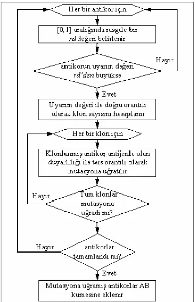 Şekil 5.15 BK-YBTS’de hayatta kalan antikorların mutasyonunun akış diyagramı 