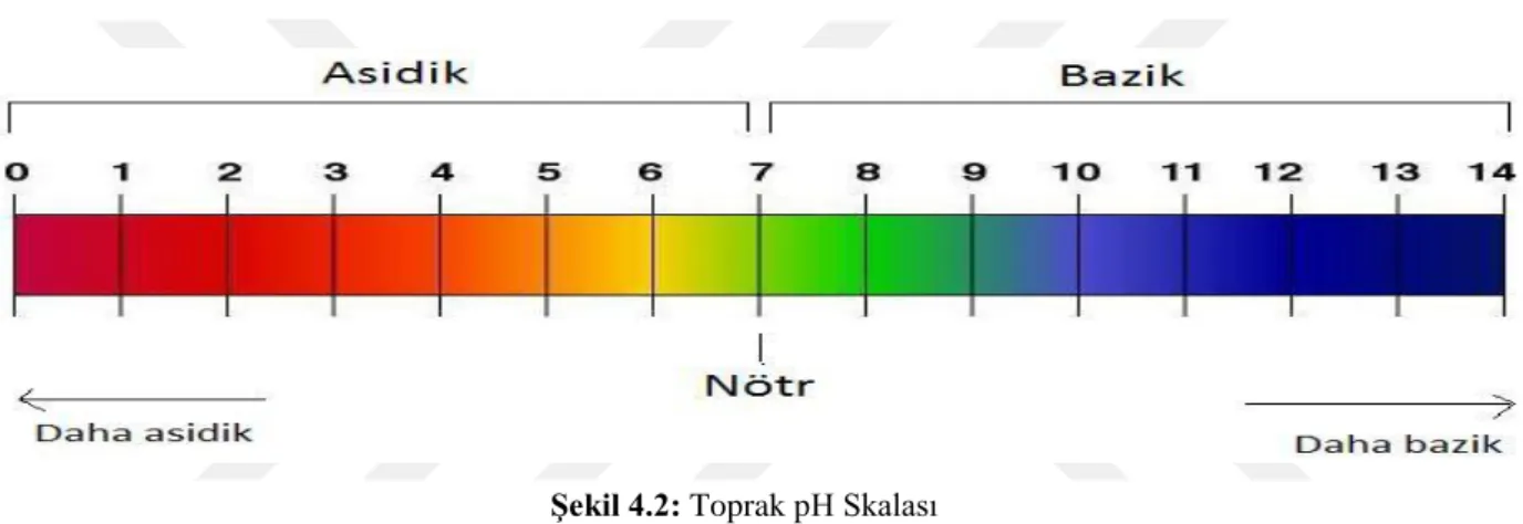 ġekil 4.2: Toprak pH Skalası 
