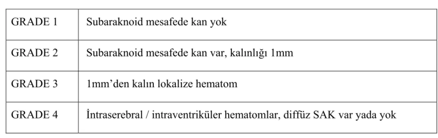 Tablo 4 : M. Gazi Yaşargil Sınıflaması 