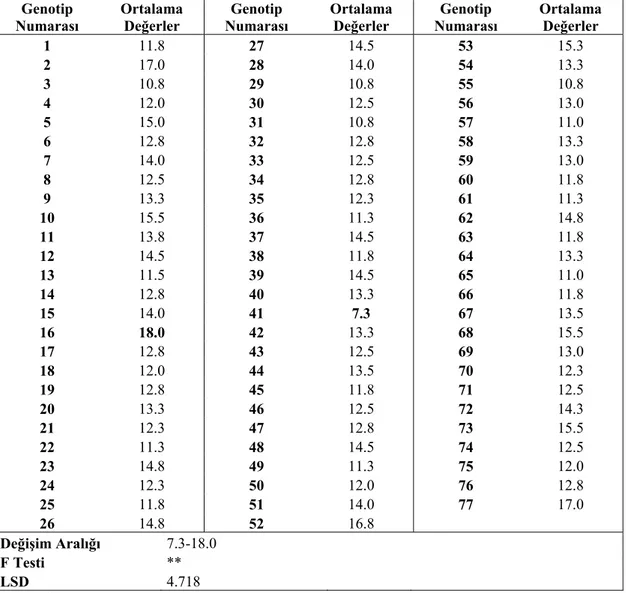 Çizelge 5.2. Araştırmada Kullanılan Çok Yıllık Çim Genotiplerinde Saptanan  Yaprak Boyuna (cm) Ait Ortalama Değerler 