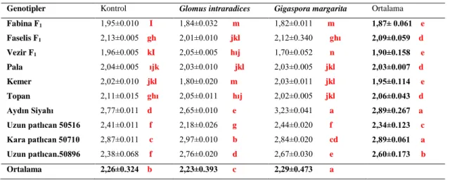 Çizelge 4.1. Patlıcan genotiplerinde AMF uygulamalarının  hipokotil uzunlukları (mm). 