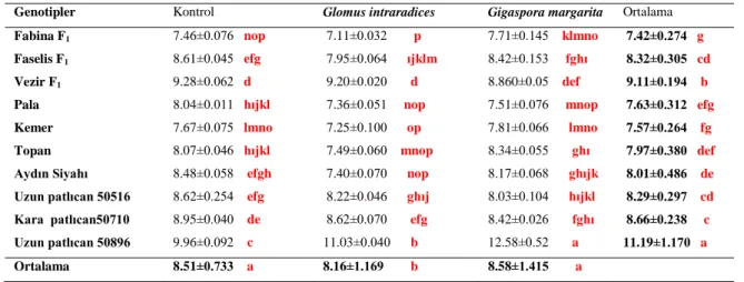 Çizelge 4.3. Patlıcan genotiplerinde AMF uygulamalarının  kotiledon genişlikleri (mm)