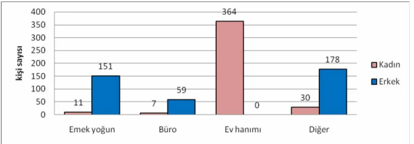 Grafik 2. Çalışma Grubunun Meslek Dağılımı 