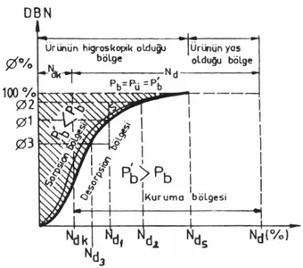 Şekil 2.1. Sorpsiyon eğrisinin kurutmanın statiği açısından anlamı (Yağcıoğlu, 1999)                   