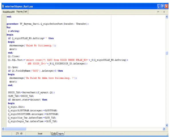 Şekil 2.4 Delphi programının kod sayfası (code page) 