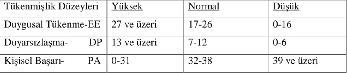 Tablo 2: Tükenmi lik Ölçe i Puan Tablosu 