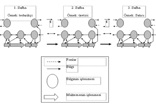 Şekil 1.4. Çok Safhalı Tedarik Zinciri 