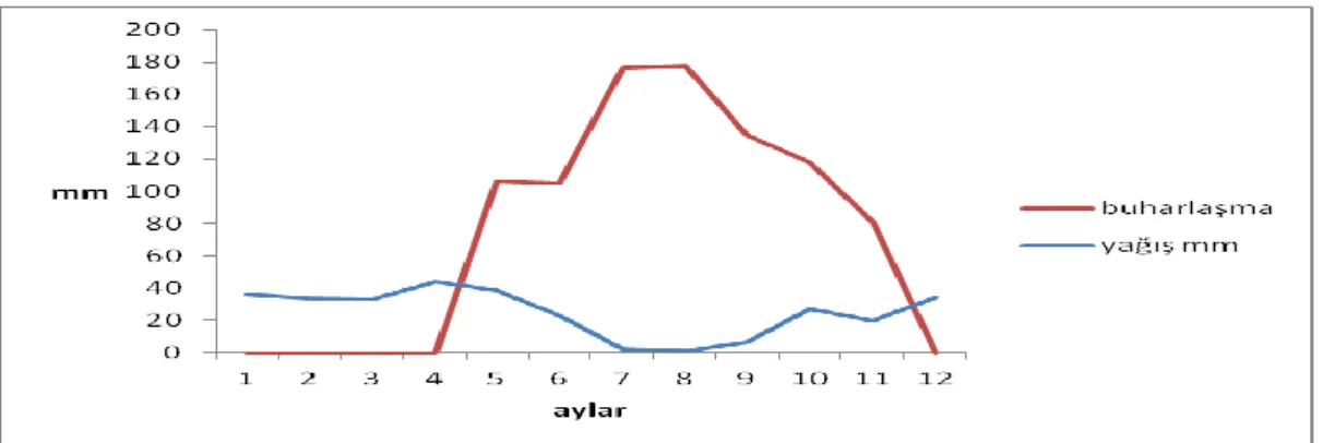 Şekil 3.2. Bölgenin iklim özellikleri (1960-1988 dönemi) 