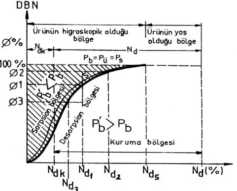 Şekil 1.1.  Sorpsiyon eğrisinin kurutmanın statiği açısından anlamı (Yağcıoğlu 1999)  Herhangi bir materyalin sorpsiyon izoterm eğrisi kurutma açısından incelendiğinde  sorpsiyon ve desorpsiyon bölgeleri Şekil 1.1’de gösterildiği gibidir