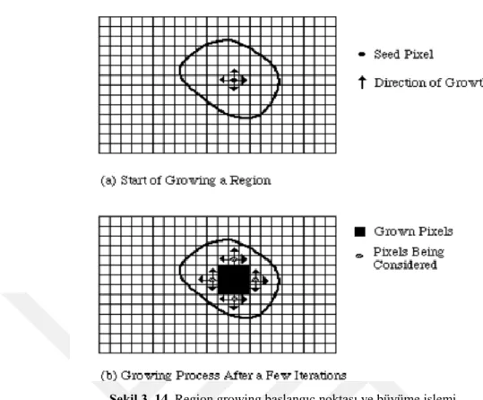 Şekil 3. 14. Region growing başlangıç noktası ve büyüme işlemi 