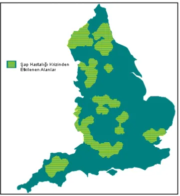 Şekil 4.7 Şap Krizinden Etkilenen Alanlar (URL 15) 