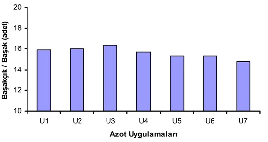 Şekil 4.3. Ç-1252 Makarnalık Buğday Çeşidinde Farklı  Şekillerde Üre  Uygulamasının Başakta Başakçık Sayısına Etkisine Ait Değerler 