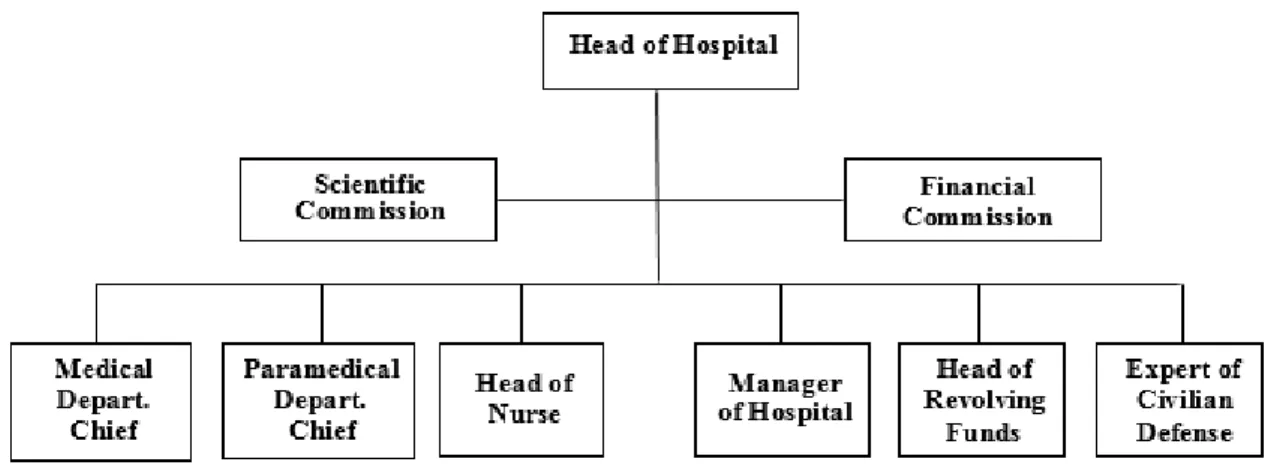 Table 7. The General Organizational Model for Public Hospitals in Turkey